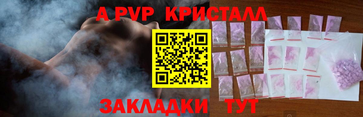 Alfa_PVP СК Заречный